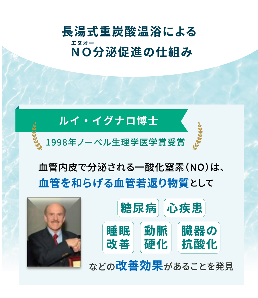 長湯式重炭酸温浴によるNO分泌促進の仕組み