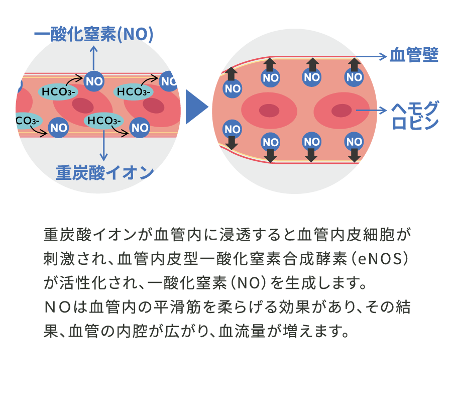 長湯式重炭酸温浴によるNO分泌促進の説明